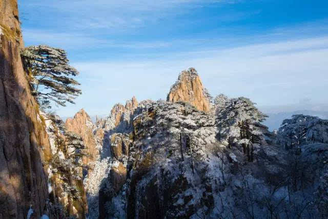 美的让人心动与怜爱 黄山的冬雪 不是北国那种 千里冰封的寂静辽阔之