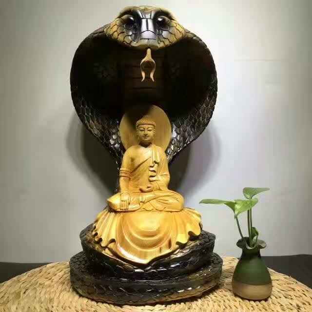 禅心,蛇与佛陀之间的渊源你知道吗?