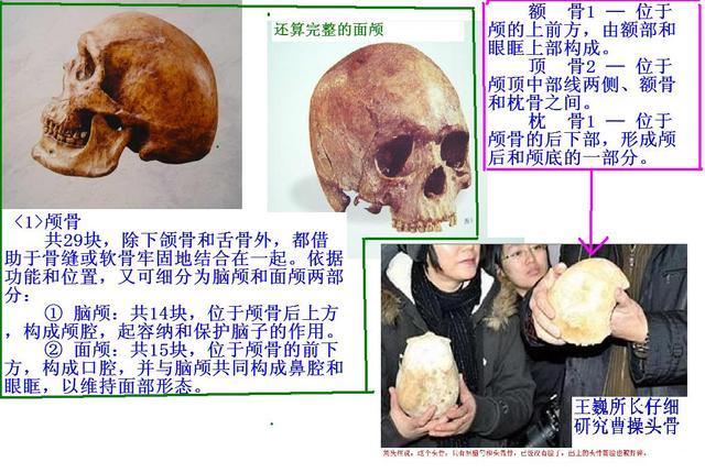 史上最为神秘的四个头盖骨,价值连城,中国占了三个