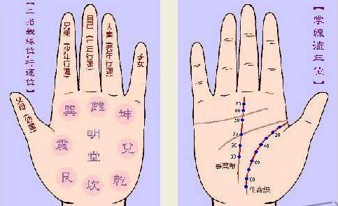 断掌什么成语_男人断掌代表什么(3)