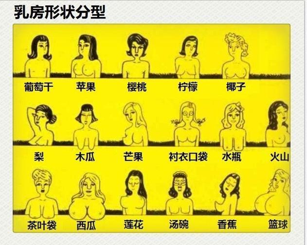 这个公式可测完美乳房?真准!