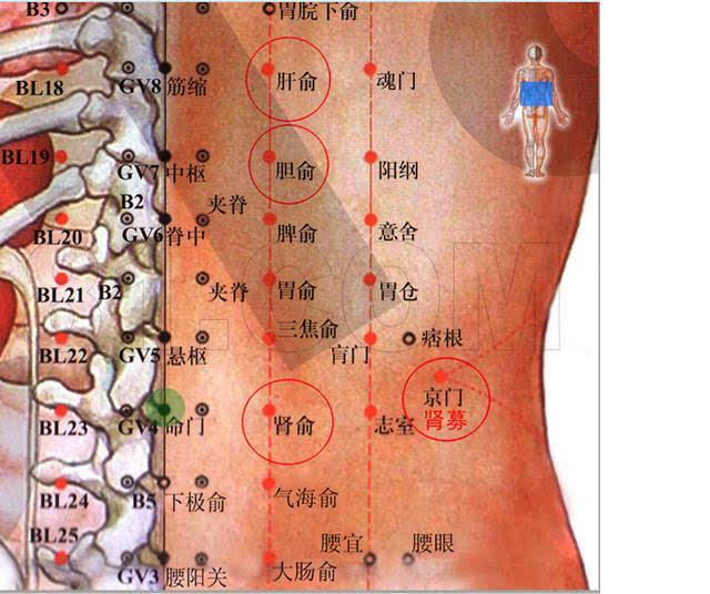 背部此穴位擅治腰背及脾胃虚弱胃痛腹胀水谷不化等