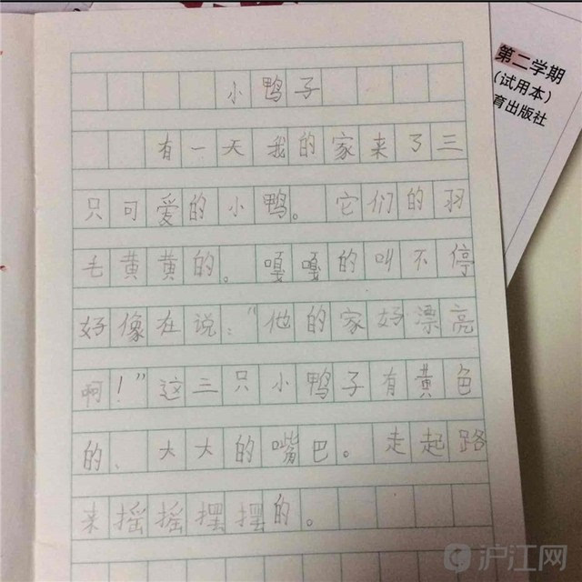 看图写话训练学员作品:拟人的力量