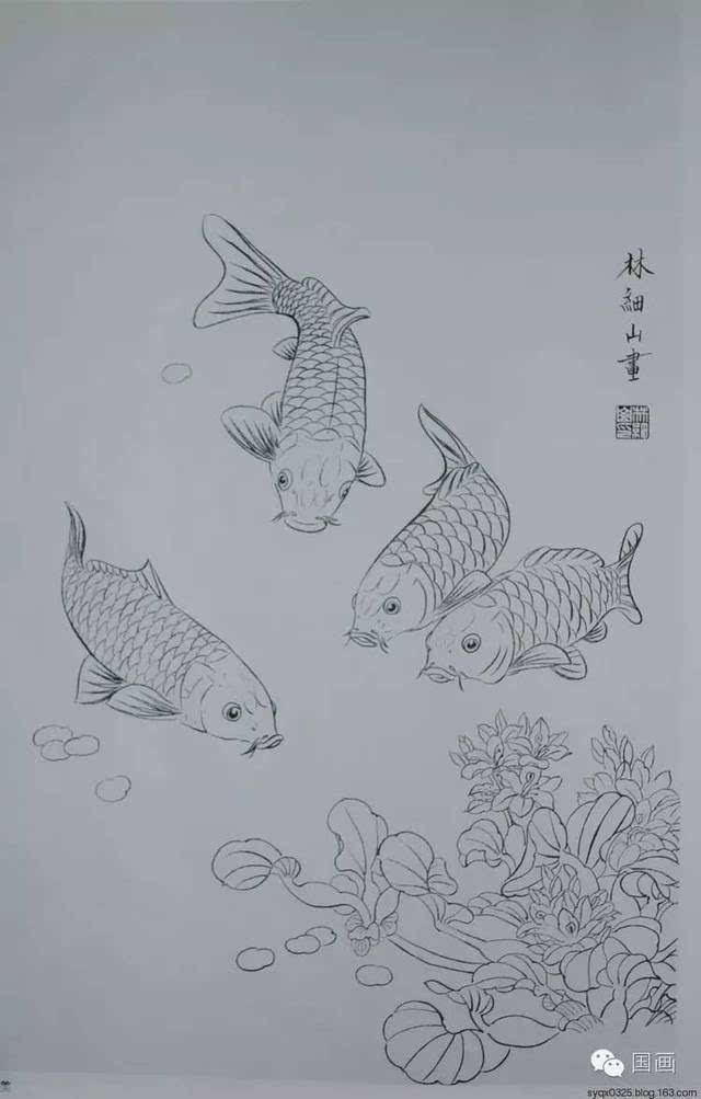 尾鳍 工笔荷花红鲤鱼画法解析 来源:国画 >>深圳市书法院书画培