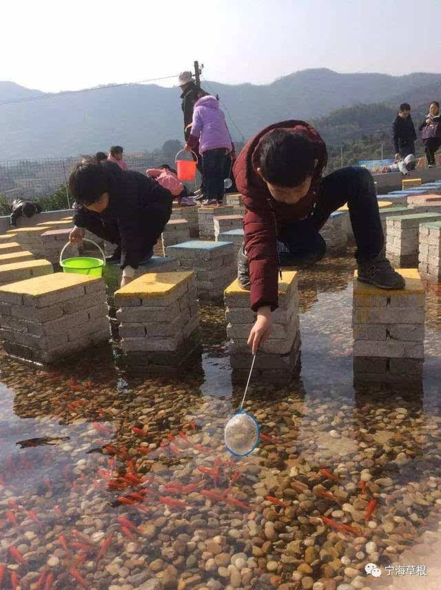 捞鱼是孩子们最喜爱的活动,七彩的墩子,清水中游荡的小红鱼,依山农场