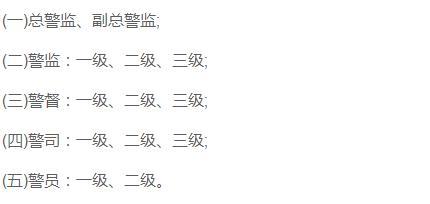 公安部部长,总警监)的形象,着装就是一级警监,警衔标志为缀钉三枚四角