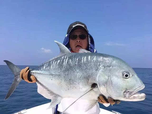 在马尔代夫钓过gt(牛港鲹)和各种美丽的石斑鱼和鲨鱼,在南海油田钓过