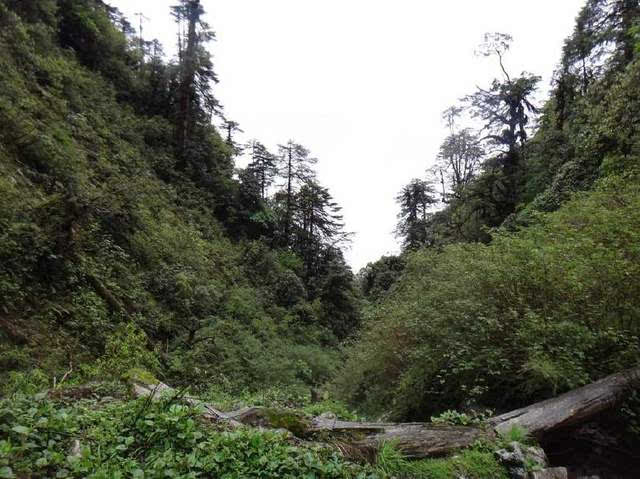 穿越万年禁地:3万国军葬身野人山,何等震撼!