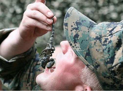 国外特种兵荒野训练挑战的味蕾!最后两张图亮了