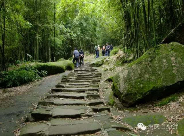 重庆这10个最适合爬山的地方,春天必去一次!