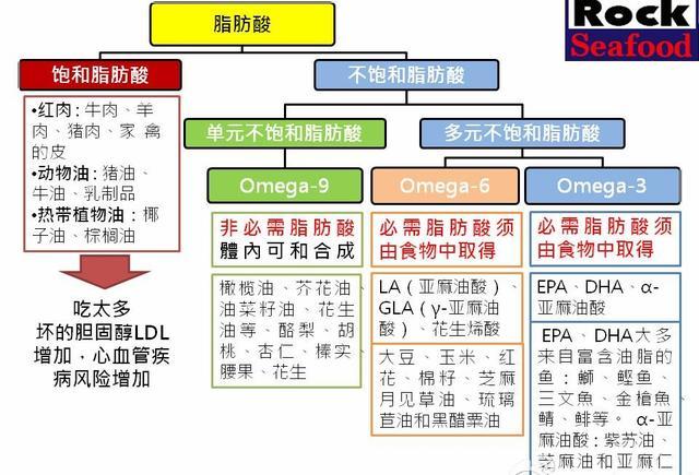 而人体必需脂肪酸属于不饱和脂肪酸,也就是需要植物中,鱼油中的脂肪酸