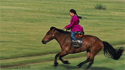 骑马穿越草原是否真的可以实现?