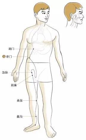 黄帝内经 | 十二经脉告诉你24小时中你的经络怎样运作