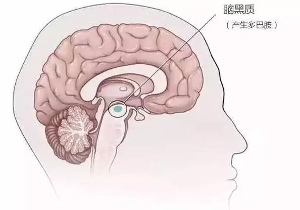 《走近科学"生锈"的神经》讲述帕金森病故事