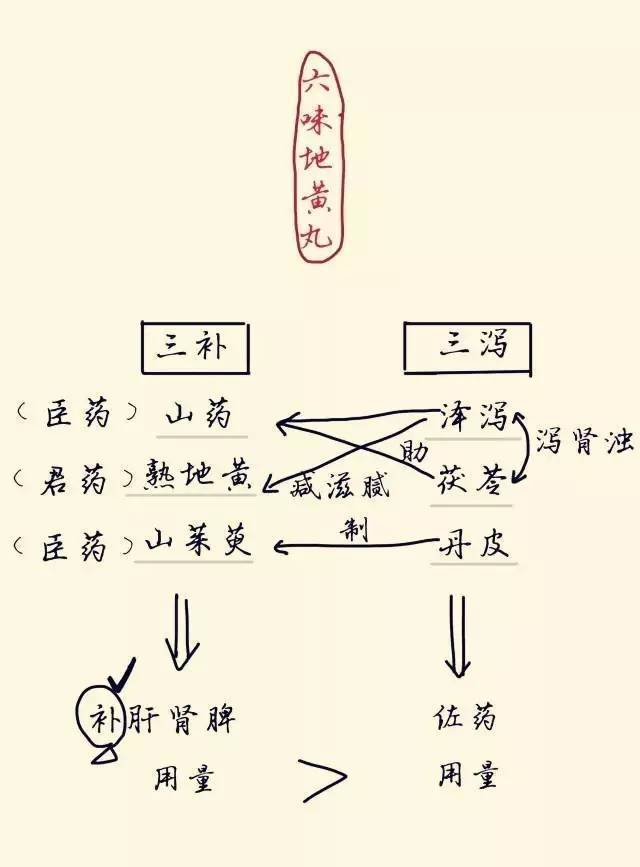 道破天机---六味地黄丸的前世今生