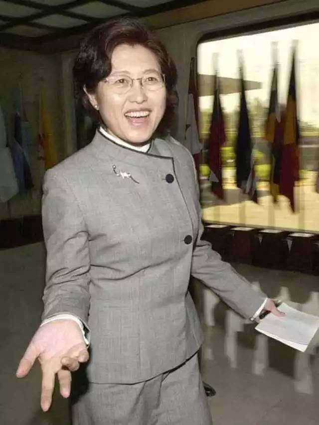 2001年,时任中国外交部亚洲司司长的傅莹.