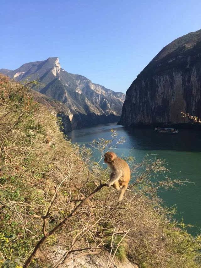 奉节打造"诗橙奉节" 重上"三峡之巅"