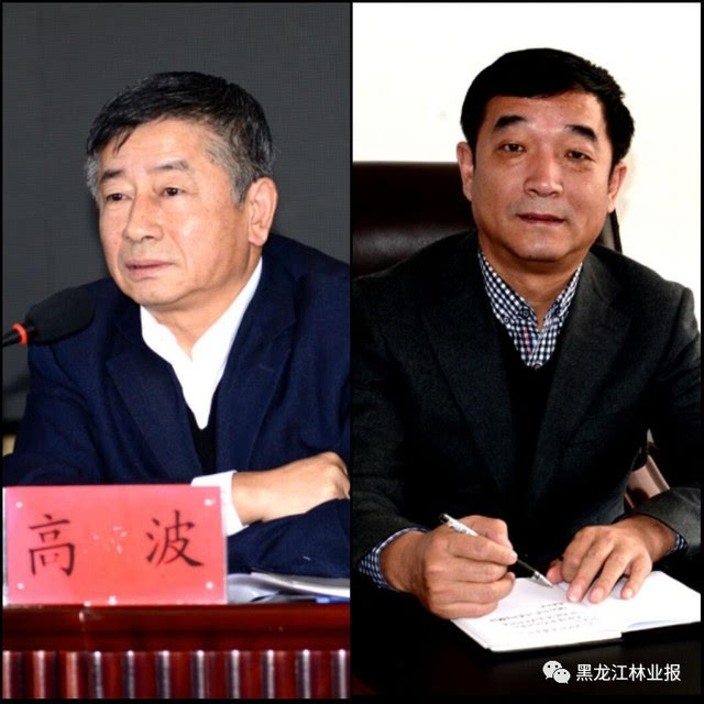 东京城林业局党委书记 高波 局长 蔺家申