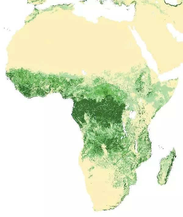 非洲森林覆盖率地图
