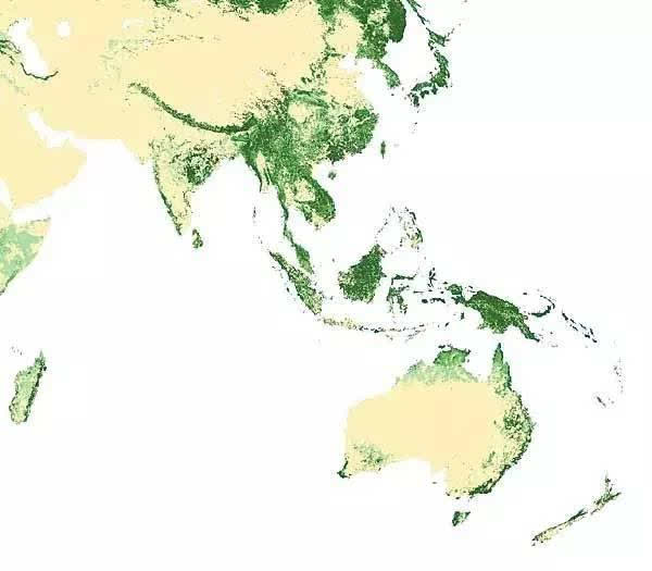 种一棵树还不够,卫星地图还原世界39亿公顷「森林