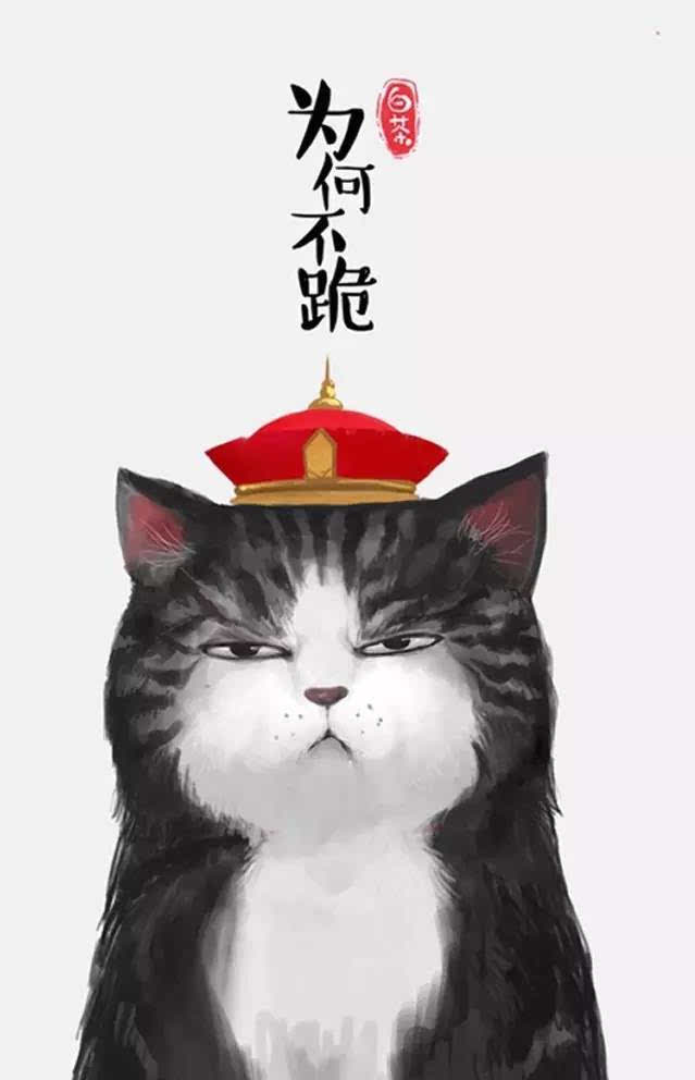 猫:与人类三大洲的相爱相杀