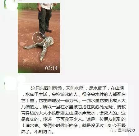 这只东西叫树懒,又叫水鬼 ,是水猴子,在山塘,水库里生活,会拉游泳的人