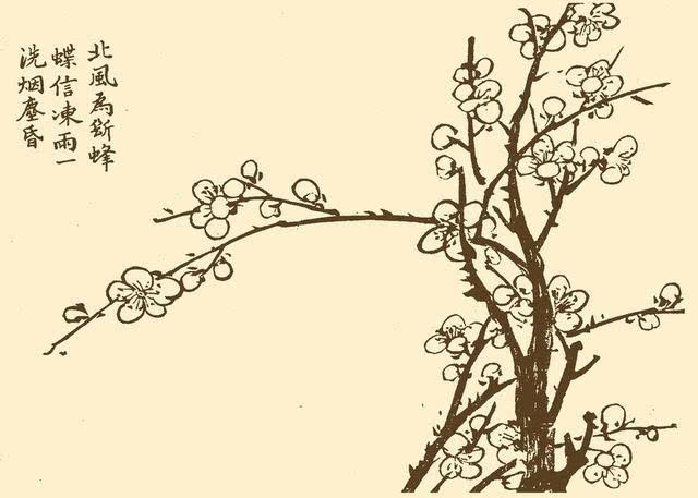 古代画梅高手是如何绘制梅花的?