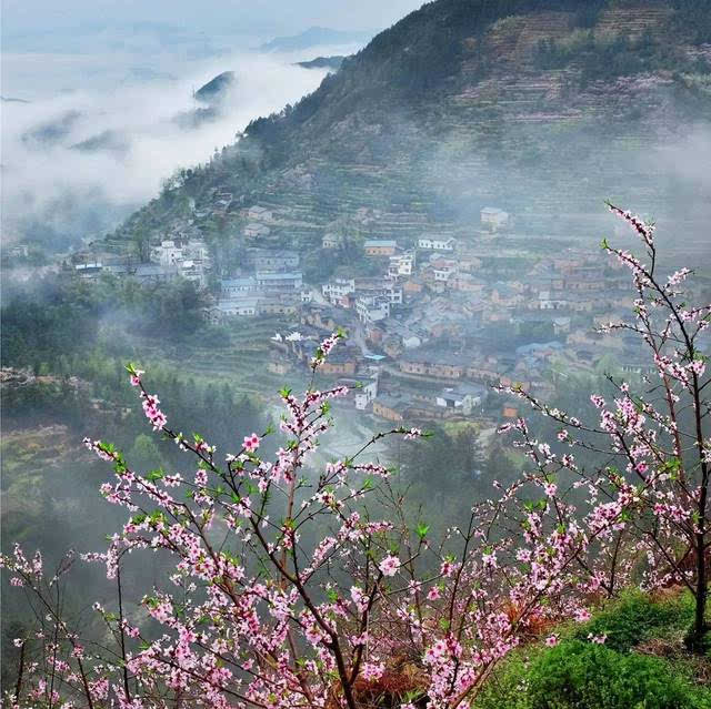 这些古诗词里的松阳美景,你都去过吗?