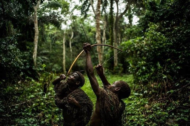 世界上身体最矮的人种卑格米人 常被食人部落抓