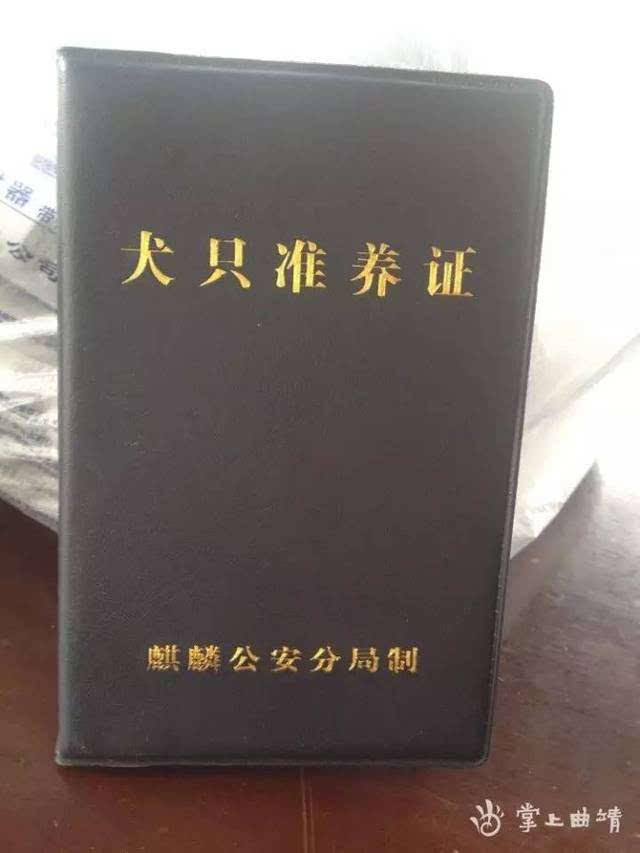 曲靖: 社区打狂犬疫苗了 快带你的狗狗去打