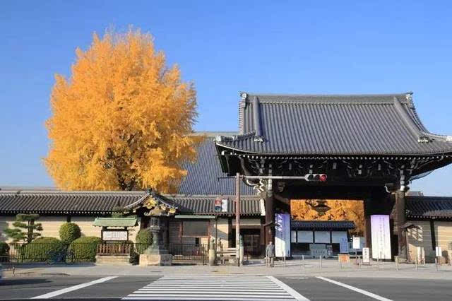 东本愿寺or西本愿寺|日本·旅行