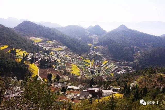 村沙落坪,开峡村杨家坪接待点(主营农家乐),官田蔬菜基地 住 大溪场镇