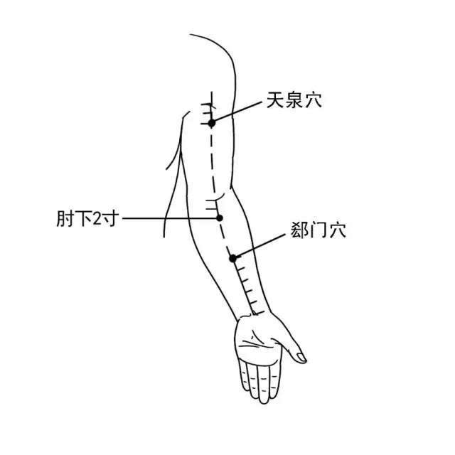 心包经,肝经,胃经,三焦经的易堵塞穴位 手厥阴心包经