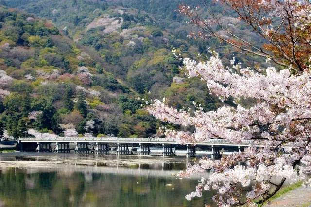 潺潺流水的京都岚山