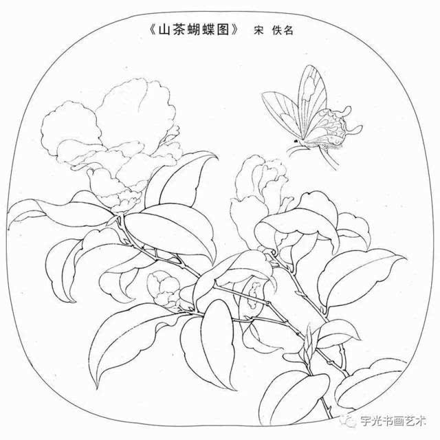 宋画花鸟白描小品,绝对的经典!