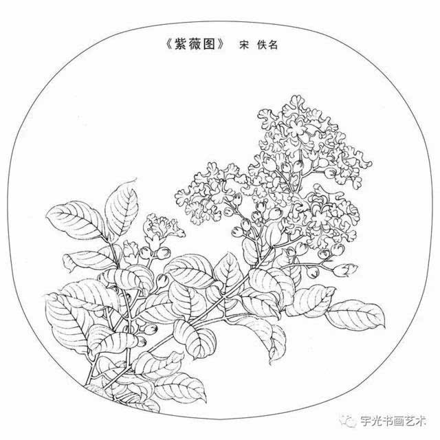 宋画花鸟白描小品,绝对的经典!