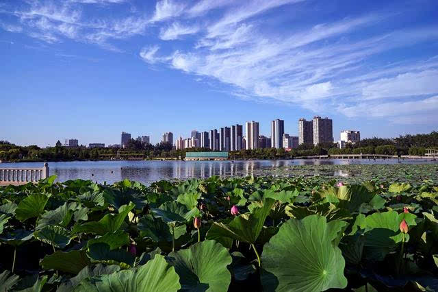 我的家乡—美丽邯郸,魅力龙湖