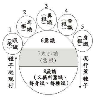 阿赖耶识是如何发挥作用的 前六识的所有行为和与这些行为相对的外部