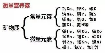 碳水化合物(即我们通常所说的糖类)占人体总量的2%左右 矿物质