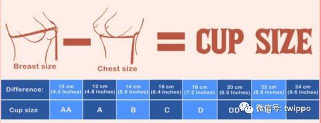 型的对应问题小胸基本可椅蘼勰闶嵌嗌僬直,这种贴身的内衣尺寸很重要