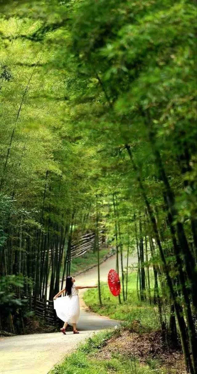 周末游丨观绿竹野花,挖诱人春笋!邂逅不一样的春天,周末相约西蜀竹海!