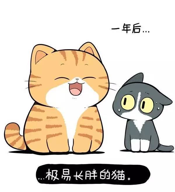 【治愈漫画】一只小橘猫的大理想,超可爱!