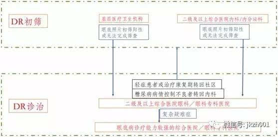 应该说前述的图一是整个分级诊疗服务流程的基础,但对糖尿病视网膜