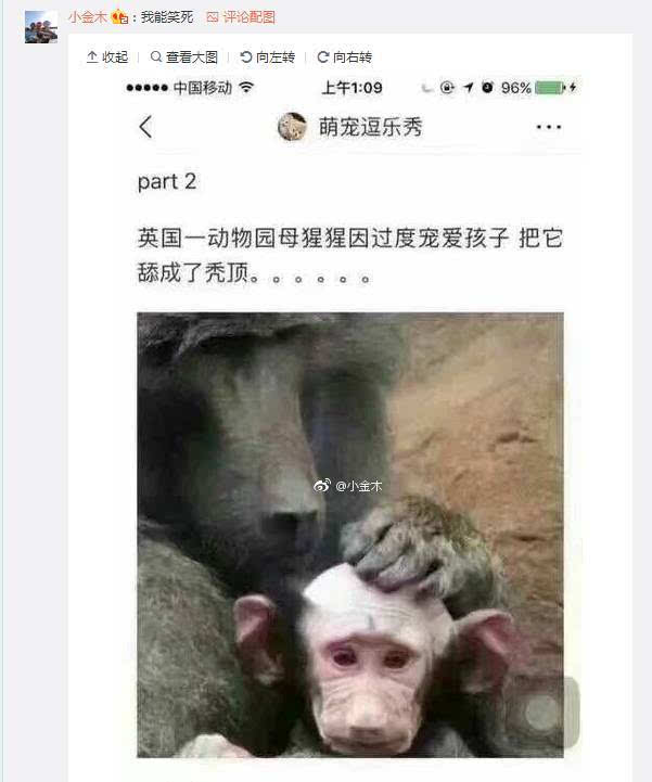 发一张你们看了会笑死的表情