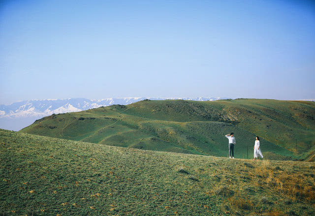 天山拍婚纱照_天山雪莲图片