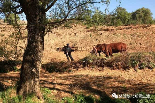 古朴 宁静 原生态的古村落,体验生活,体验农民生活,挑战贫困生活,帮助