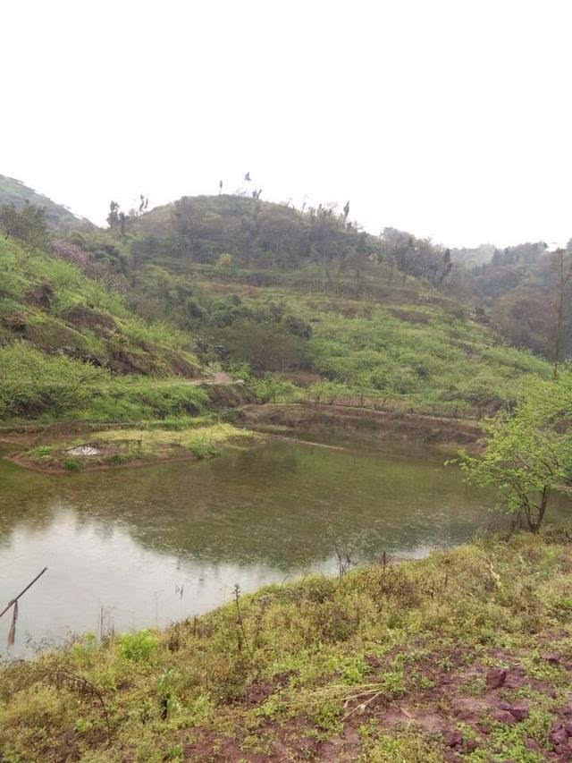 长江最原始的风景 重庆市江津区油溪