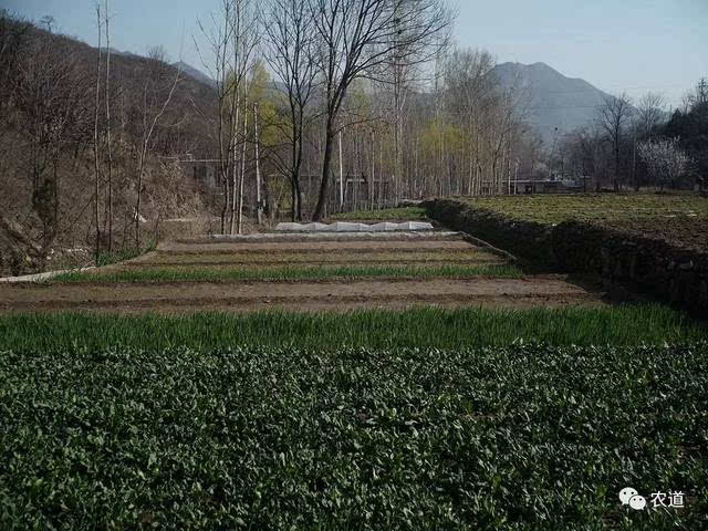 这个大天井沟,是邻近阜平县城的一个自然村.图片
