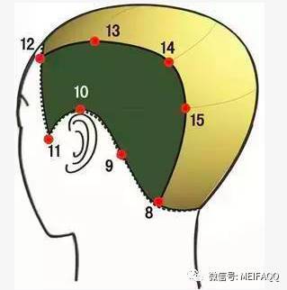 剪发第一步分区的图解要素