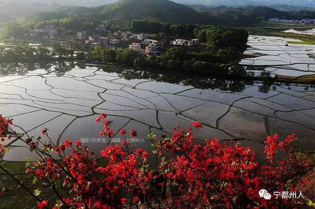 大龙山自然保护区,位于宁都县境北部肖田乡和东韶乡,宁都,宜黄,乐安三